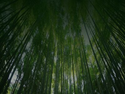 “以竹代塑”主要產(chǎn)品名錄（2023年版）